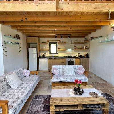 VİLLA KOCA ARMUT-2